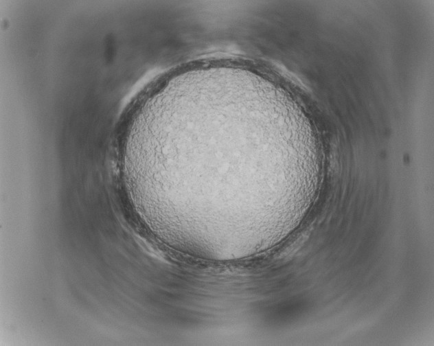 X0000070871400200607150109