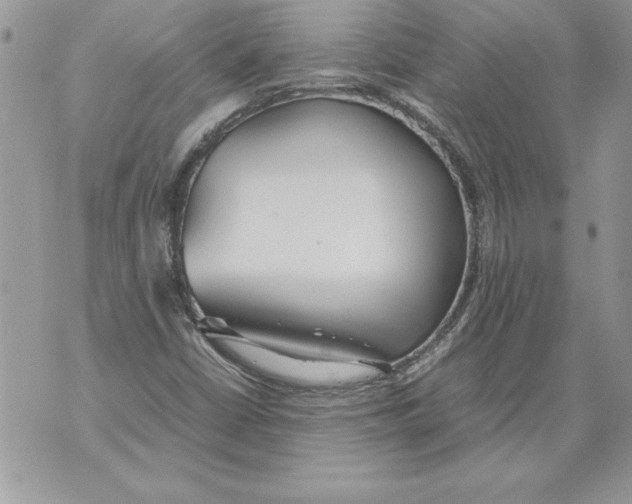 X0000070871402200607150110