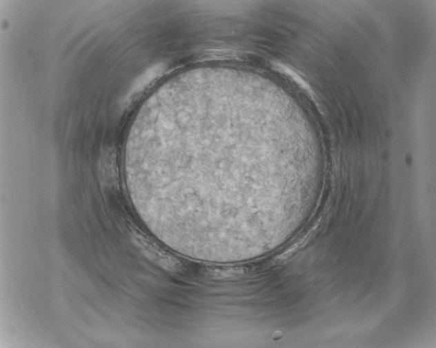 X0000070871403200607150110