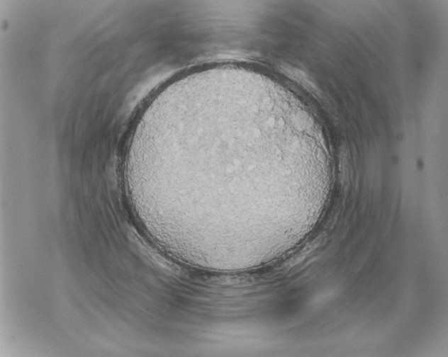 X0000070871404200607150110