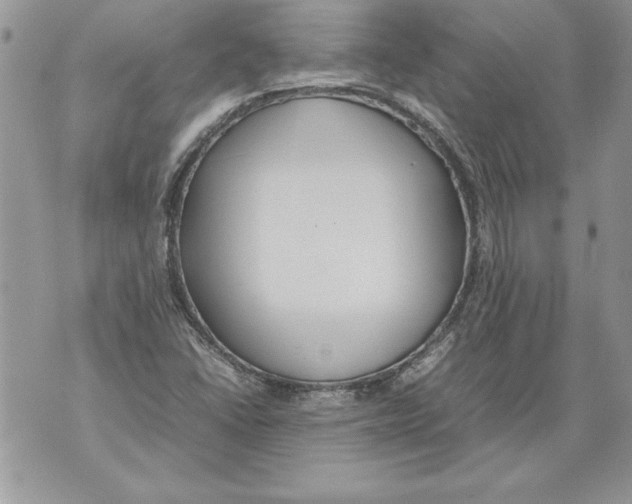 X0000070871406200607150110