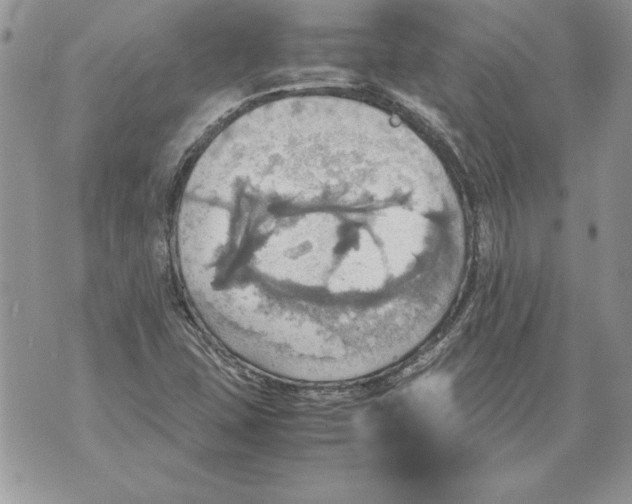 X0000070871407200607150110