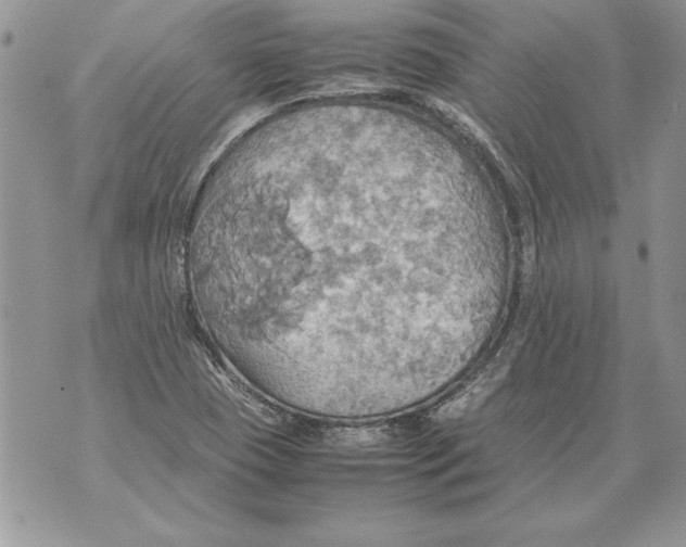 X0000070871409200607150110