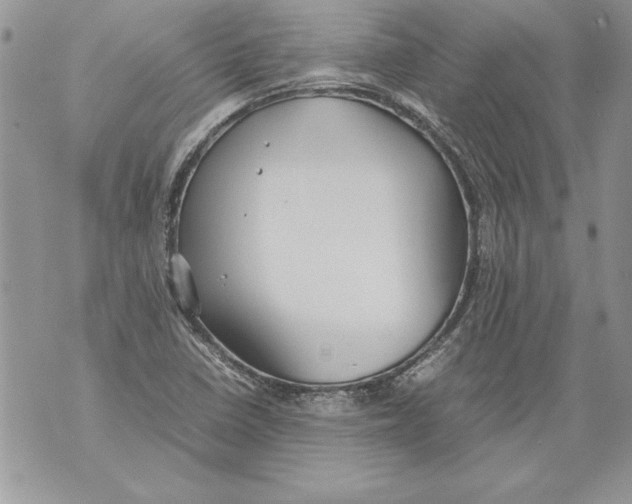 X0000070871410200607150110