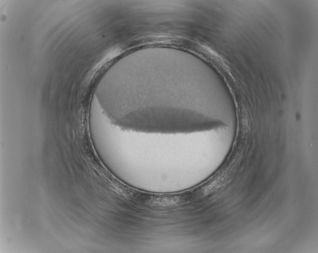 X0000070871411200607150110