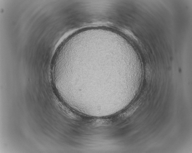 X0000070871412200607150110