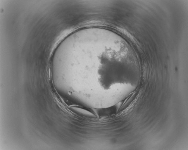 X0000070871413200607150110