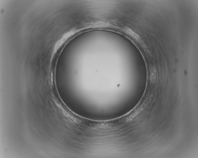 X0000070871414200607150110