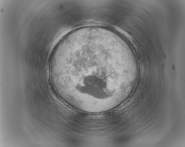 X0000070871415200607150110