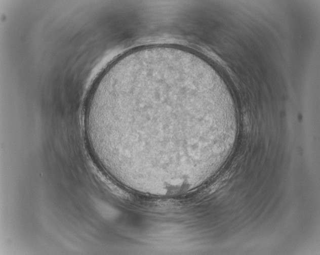 X0000070871416200607150110