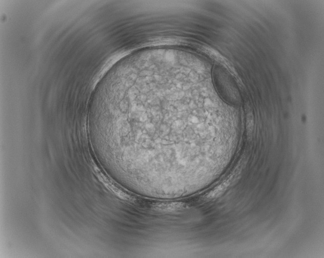 X0000070871417200607150110