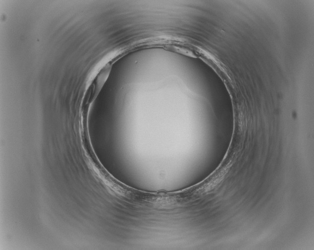 X0000070871418200607150110