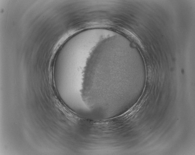 X0000070871419200607150110