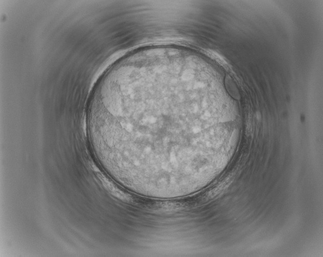 X0000070871420200607150110