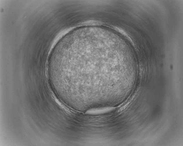 X0000070871421200607150110