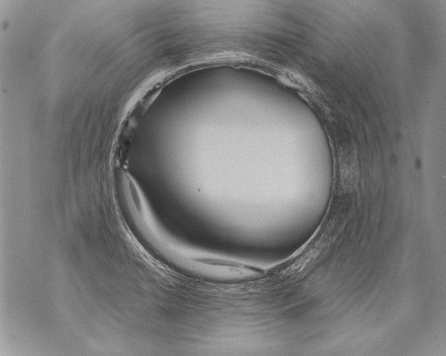 X0000070871422200607150110