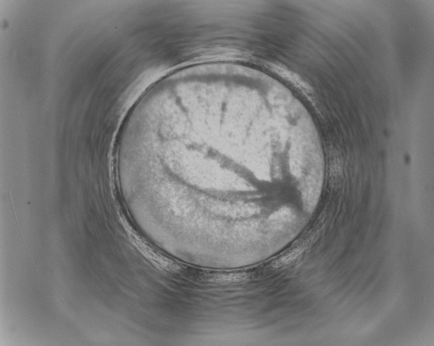 X0000070871423200607150110