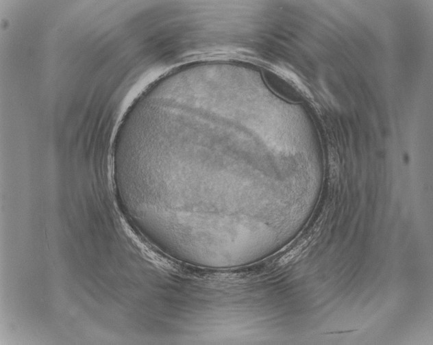 X0000070871424200607150110