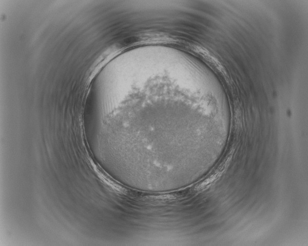 X0000070871425200607150110