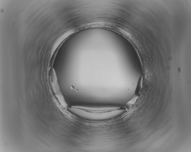 X0000070871426200607150110