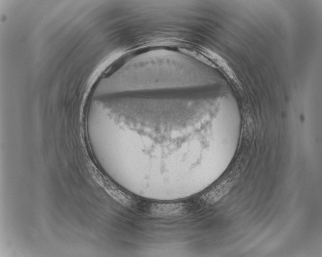 X0000070871427200607150110