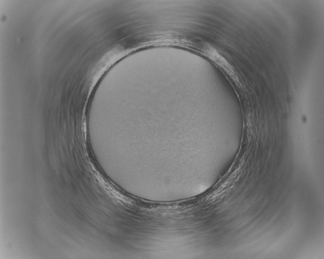 X0000070871428200607150110