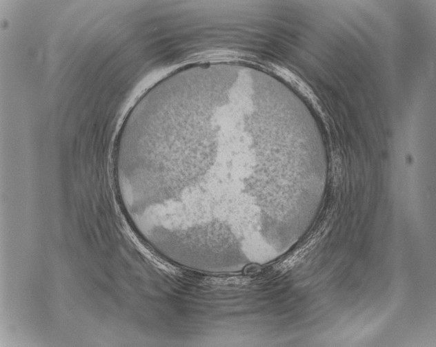 X0000070871429200607150110