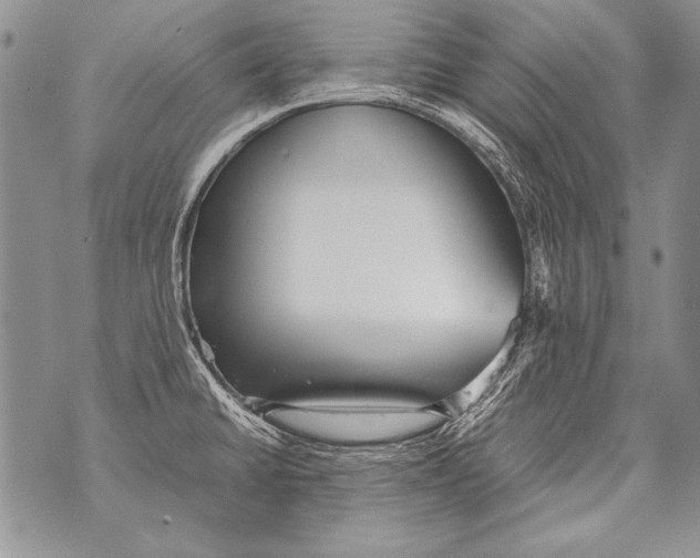 X0000070871430200607150110