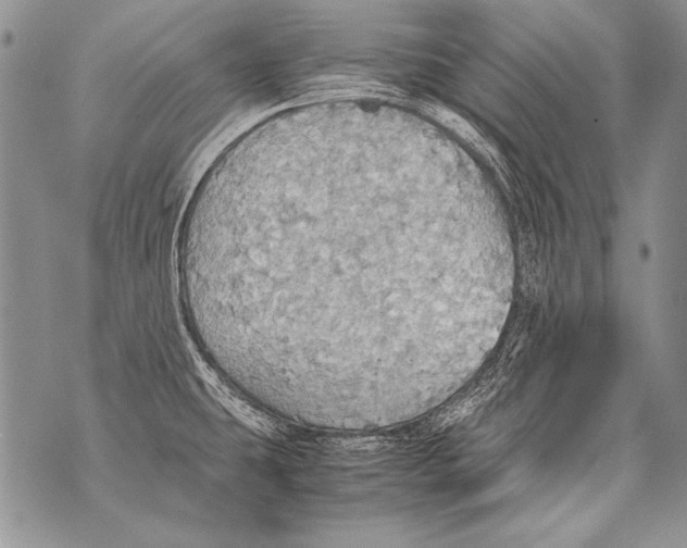 X0000070871431200607150110