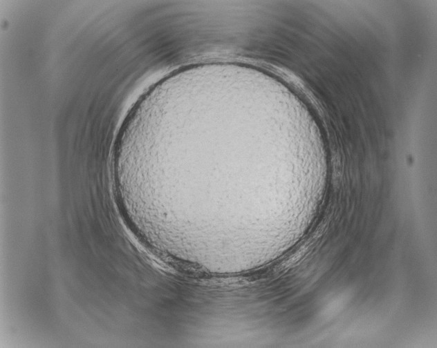 X0000070871432200607150110