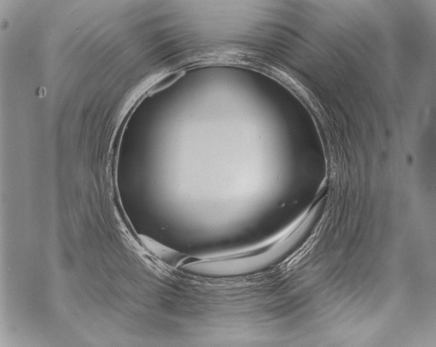 X0000070871434200607150110