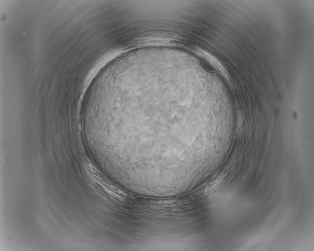 X0000070871435200607150110