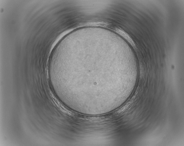 X0000070871436200607150110