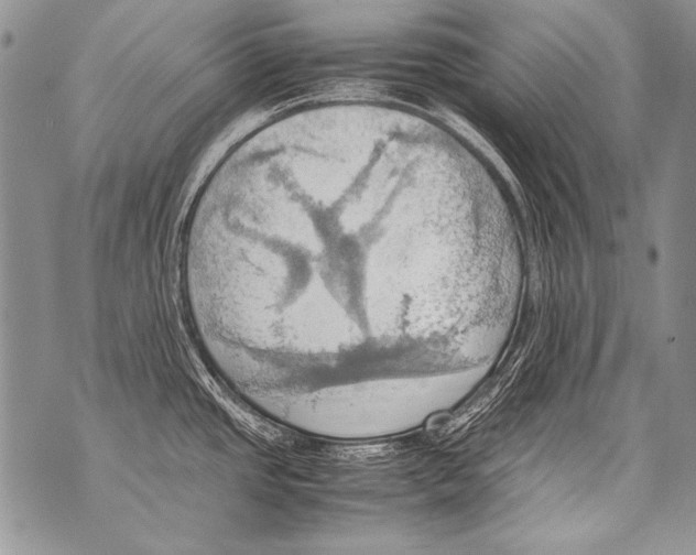 X0000070871437200607150110