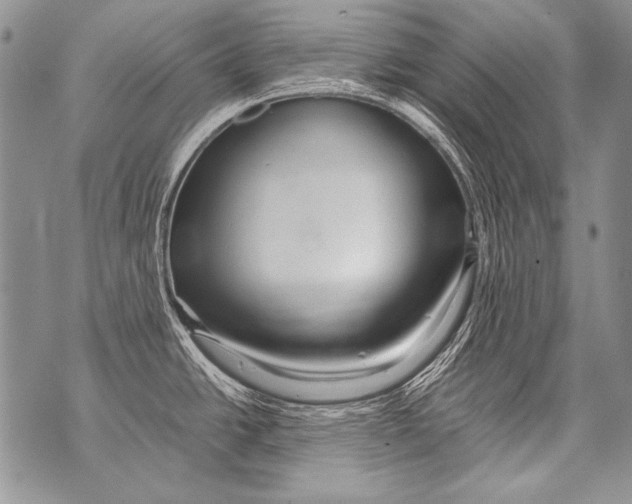 X0000070871438200607150110