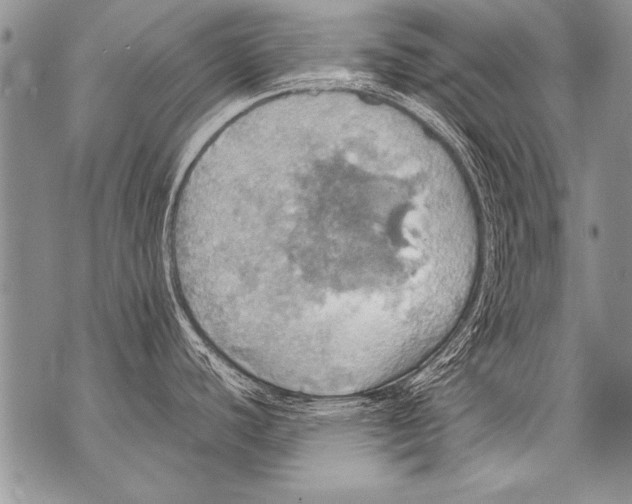 X0000070871440200607150110