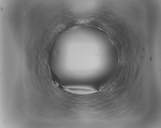 X0000070871441200607150109