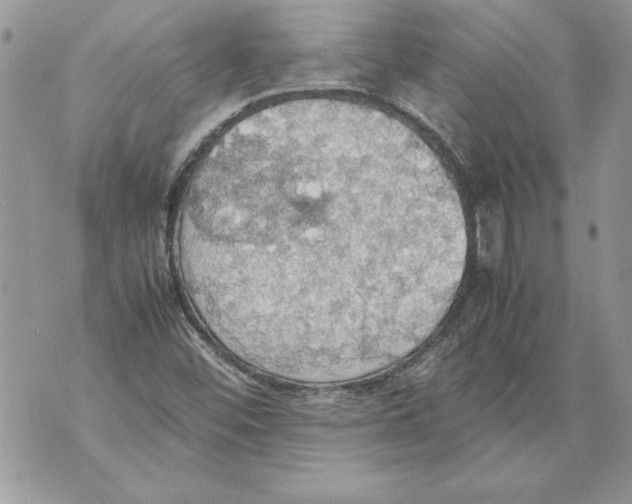 X0000070871452200607150109