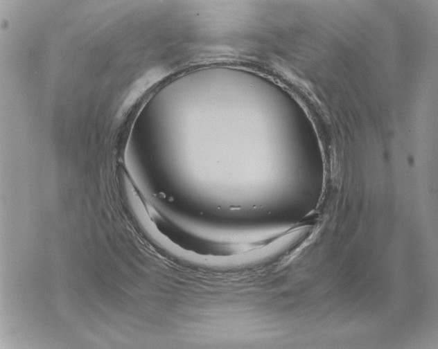 X0000070871453200607150109