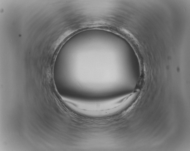 X0000070871457200607150109