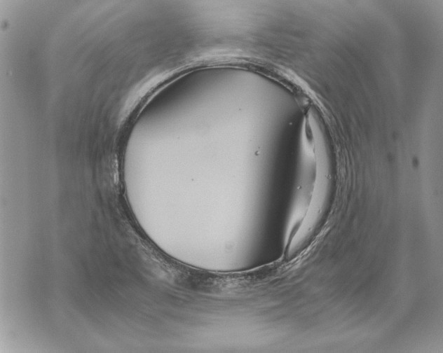 X0000070871461200607150109