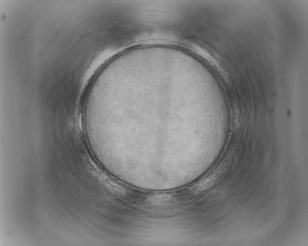 X0000070871462200607150109