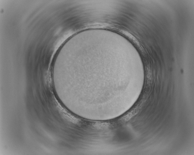 X0000070871466200607150109