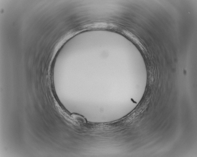 X0000070871475200607150109