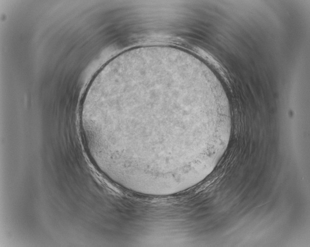 X0000070871480200607150109