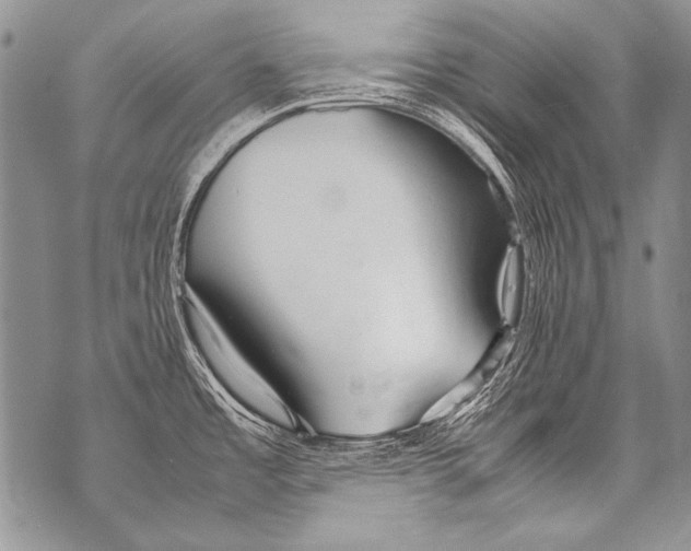 X0000070871485200607150109