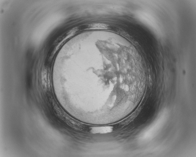 X0000070871487200607150109