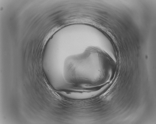 X0000070871529200607150108
