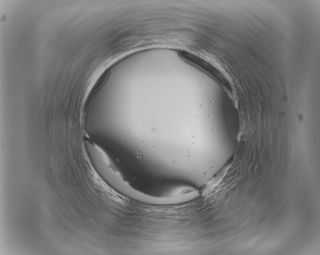 X0000070871532200607150109