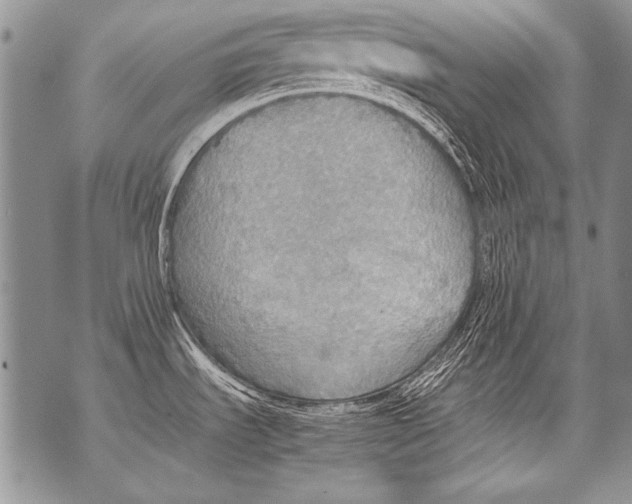 X0000070871535200607150109